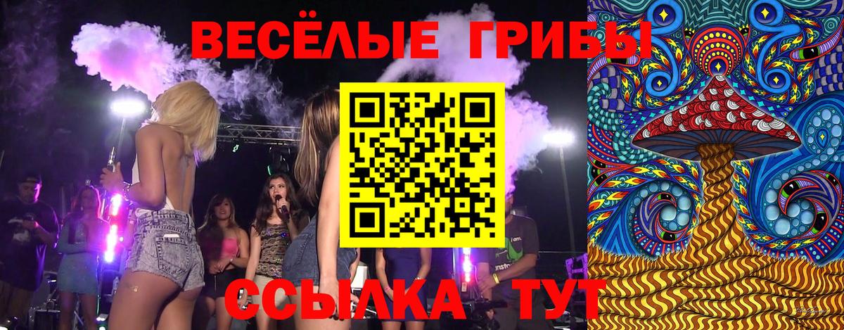 Псилоцибиновые грибы Magic Shrooms Георгиевск