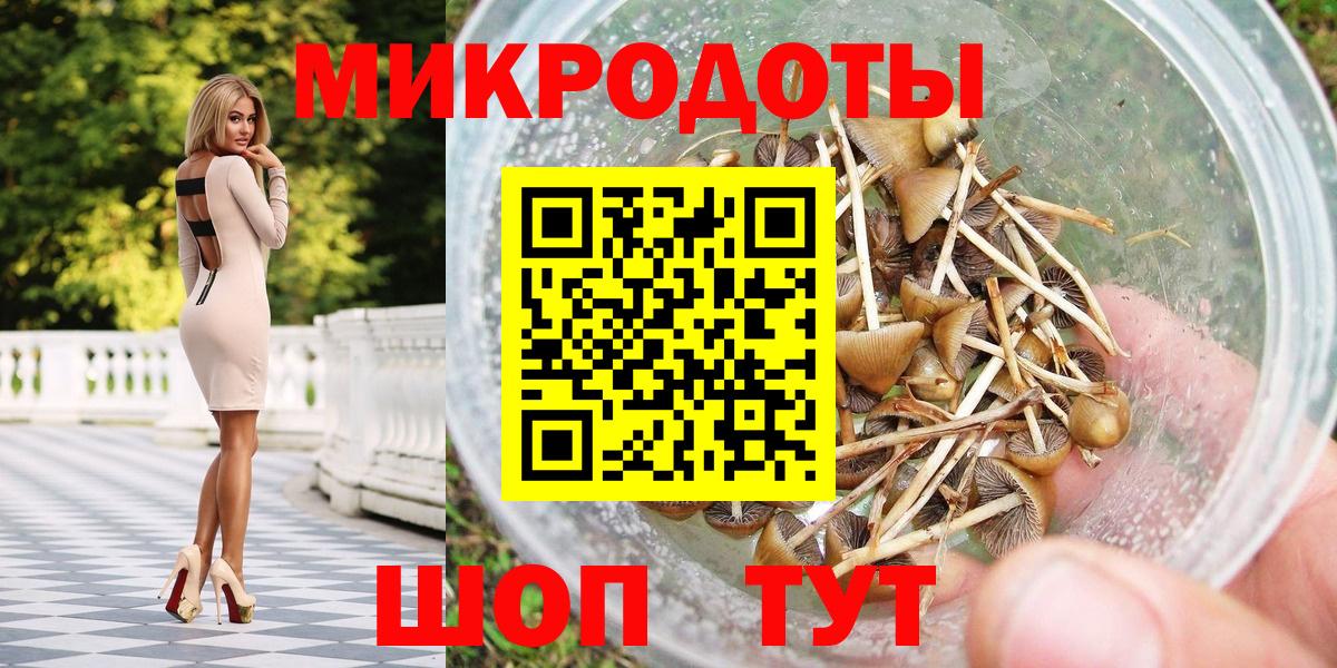 Галлюциногенные грибы Psilocybe  Вход с VPN  Георгиевск 